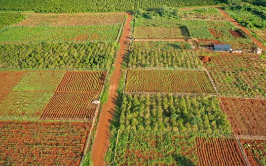 Oaklands Taratibu Plots for Sale in Ruiru