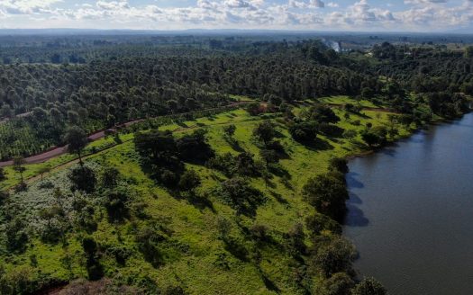 Oaklands Pazuri Park Plots for Sale in Ruiru