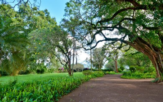 Oaklands Ayanna Waters Plots for Sale