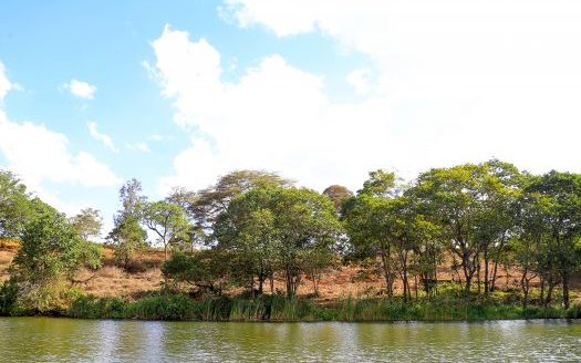 Oaklands Ayanna Waters Plots for Sale