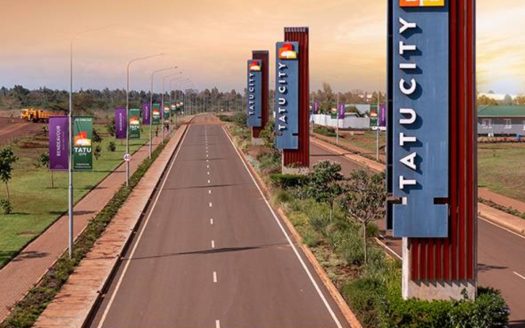 Tatu City real estate